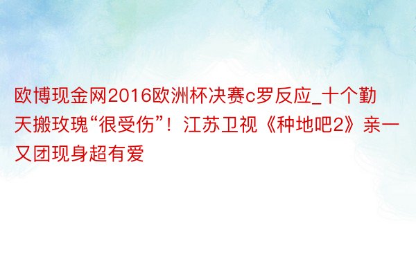 欧博现金网2016欧洲杯决赛c罗反应_十个勤天搬玫瑰“很受伤”！江苏卫视《种地吧2》亲一又团现身超有爱