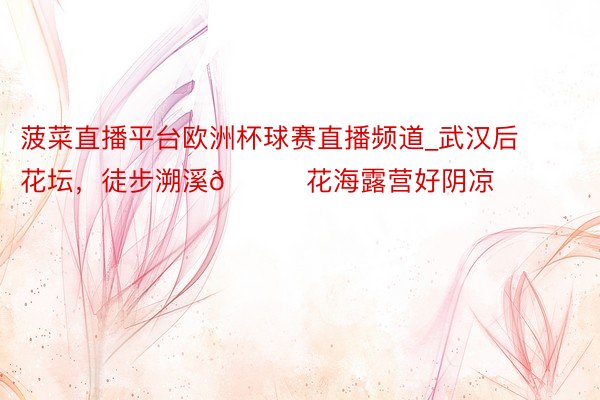 菠菜直播平台欧洲杯球赛直播频道_武汉后花坛，徒步溯溪🍃花海露营好阴凉