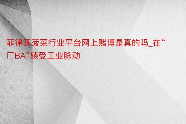 菲律宾菠菜行业平台网上赌博是真的吗_在“厂BA”感受工业脉动