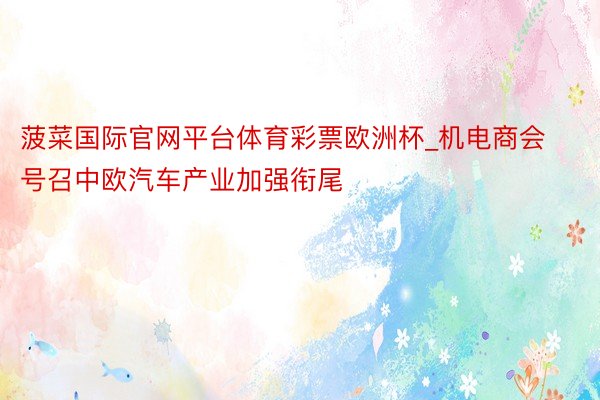 菠菜国际官网平台体育彩票欧洲杯_机电商会号召中欧汽车产业加强衔尾